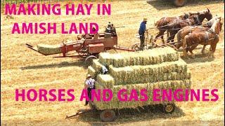 Making HAY with the AMISH in Lancaster County, PA...Cutting, Raking, and Baling in AMISH LAND