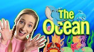 Learning Ocean Animal Life | Sarah Sunshine