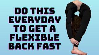 Best Stretches to get a Flexible Back Fast! | Beginner Friendly