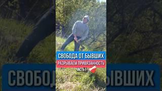 Свобода от бывших: разрыв эмоциональных цепей