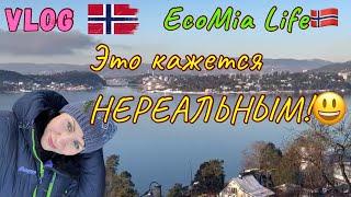 Откуда у них депрессия?/Nº10 - 01.2025/EcoMia Life
