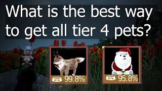 What is the best way to get all tier four pets f2p? - Black Desert Online