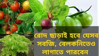 রোদ ছাড়া সবজি চাষ ,শুধু আলো আসলেই হবে।Top shade loving vegetables.