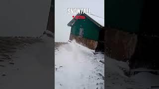 Heavy Snowfall | Phaut in March | Sandakphu Trek #viral #snow #trending #shorts #sandakphu #snowfall