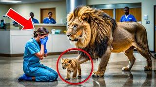 A LION ENTERS THE HOSPITAL, AND THE NURSE BURSTS INTO TEARS WHEN SHE DISCOVERS THE REASON.