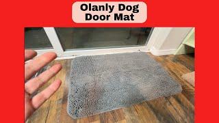 Keep Floors Clean: Best Dog Door Mat for Muddy Paws #ad