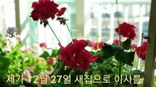 고양이네 새 보금자리로 이사했어요~^^  새해 복 많이 받으세요 Happy New Year.