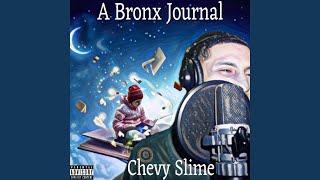 A Bronx Journal