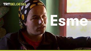 Esme | TRT Belgesel