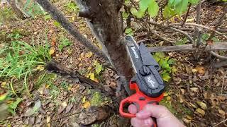 Taranzy Mini Chainsaw Review