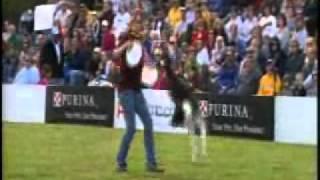 Purina IDC 2010 Finals - Paula&Wena