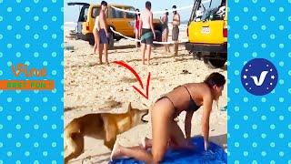 Funniest People Funny Videos 2025 That Will Make You Laugh To Tear  Part 4