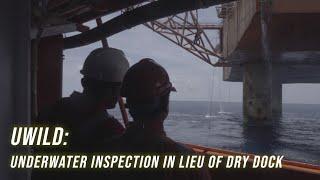 UWILD - Underwater Inspection in lieu of Dry Docking