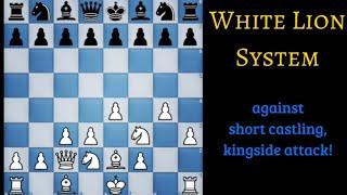 Let's learn to play WHITE LION System in ONE MINUTE !