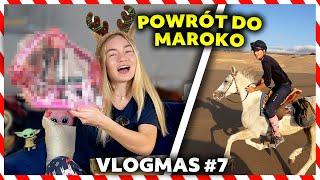 MATI WRÓCIŁ NA RAJD W MAROKO! | Razem cwałujemy  | VLOGMAS #7