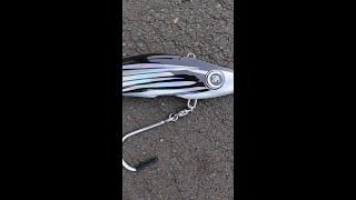 "Introducing Skipjack: The Hottest New Color for Salta Lures!  #FishingFever"