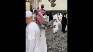 Travel: Makka City; Saudi Arabia l To the magic of Pigeon and Public,Come to Saudi Arabia:Visit Once