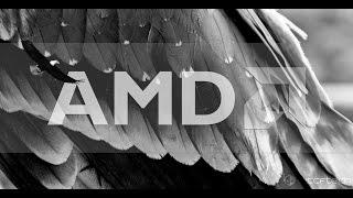 AMD Raven Ridge Details Start To Emerge