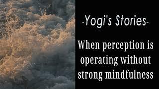 Yogi's Stories: When perception is operating without strong mindfulness