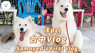 【南瓜PUMPKIN】開箱！全台最大『寵物遊樂園』！狗狗台中Vlog EP2 (薩摩耶Samoyed)