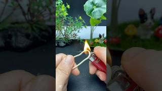 Ingenious ideas #diy#diyprojects #craft #woodworking #machine #ideas Ms.Inventor101