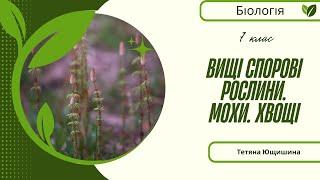 Урок 19. Вищі спорові рослини. Мохи. Хвощі. 7 клас. НУШ