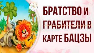 БОЖЕСТВА В БАЦЗЫ: БРАТСТВО (Друзья)  и ГРАБИТЕЛЬ БОГАТСТВА (Уменьшение Богатства) в карте Бацзы