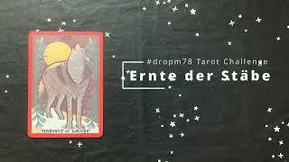 Karte für Karte: Gentle Tarot - König der Stäbe (Fifth Spirit) #dropm78 Tarot Challenge Deutsch