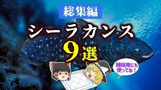 【睡眠用・ゆっくり解説】生きる化石シーラカンス9選！　シーラカンス/ラティメリア/マウソニアなど【広告最初のみ　途中広告なし】