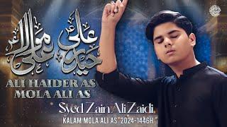 Ali Haider Mola Ali | Syed Zain Ali Zaidi | Title Noha 2024/1446