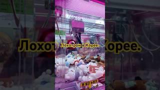 Лохотрон в Южной Корее. Не трать на это деньги!  #busan #southkorea #johnvikka #лохотрон  #обман