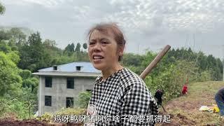 快80岁农村婆婆真霸气，花式手段把王小川两兄弟拿捏的服服帖帖，吵吵闹闹的场面却让人看着很幸福#农村生活#婆媳