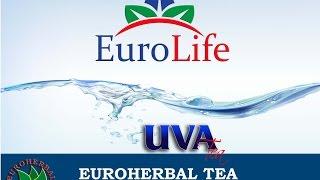 EuroLife - Dubai - Uva tea