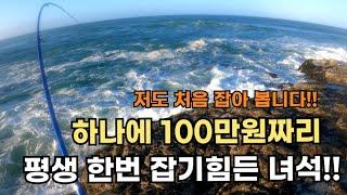 길이가 무려 5m... 낚시로 잡았습니다!!