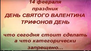 14 февраля праздник День Святого Валентина. Трифонов день. Народные приметы и поверья