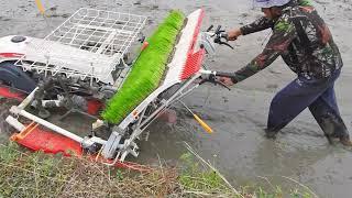 Tanam padi dengan mesin Yanmar AP4 || PART 1