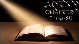 ACTS CHAPTER 1 TO 28 IN AKAN ASANTE TWI