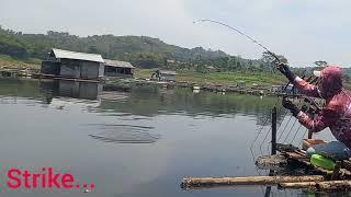 BARU DI APLUS  langsung STRIKE DI SEPOT INI mancing setengah hari danao saguling