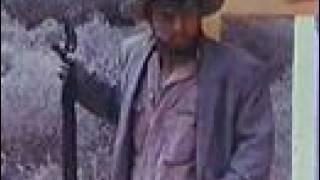 Torgo on acid