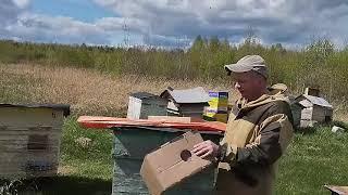 !!!!РАСПАКОВКА!!!! #пчеловодство #bee #workerbee #пчелы
