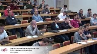 Dmitry Ioffe: Low temperature interfaces and level lines in the critical prewetting regime