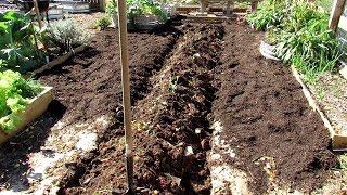 How to Easily & Organically Prepare Your Garden Earth Beds For Winter: Manure Now 4 Spring Planting!