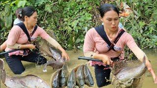 How to build a clean vegetable garden, raise fish and harvest fish, earn extra income