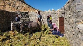 Mountain challenge: Nader and his family evacuate their mountain nomadic caper - nomadic lifestyle