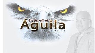 SECRETOS DE ÁGUILAS | LEUYÍN GARCÍA