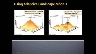 Unit 2 6 2 Adaptive Landscapes and Quantitative Genetics default