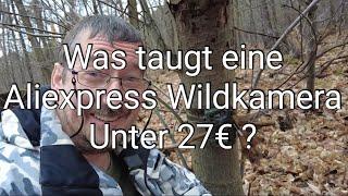 Was taugt eine AliExpress Wildkamera unter 27 Euro ? Gibs es Aufnahmen ?