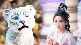 This seemingly silly white tiger, the real identity is actually a goddess!