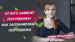 От кого зависит пол ребенка? Как запланировать пол ребенка