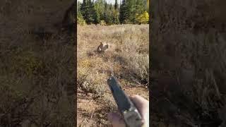Mountain Lion stalks elk hunter in Idaho. Saved by Glock27 warning shots.